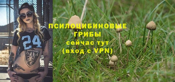 2c-b Богородск